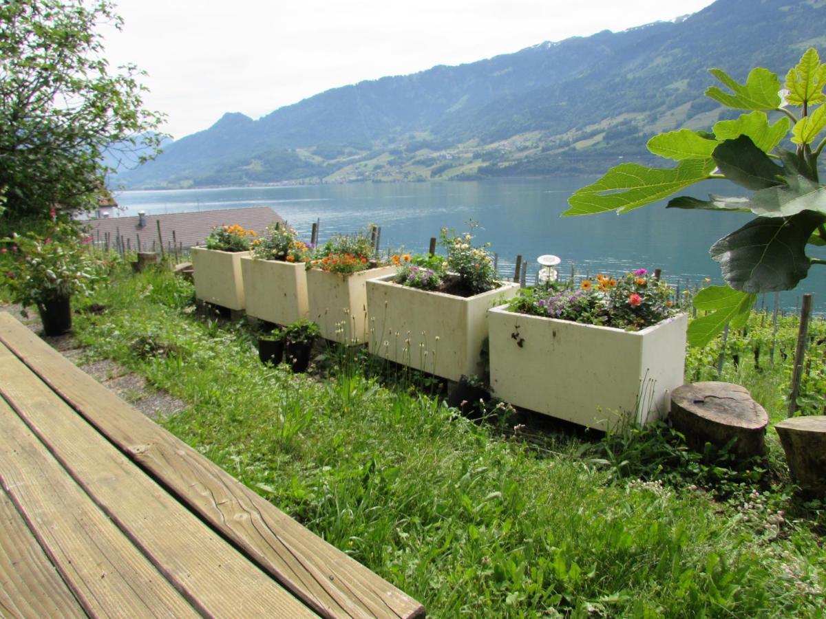 Haus Buenten Quinten Exterior foto