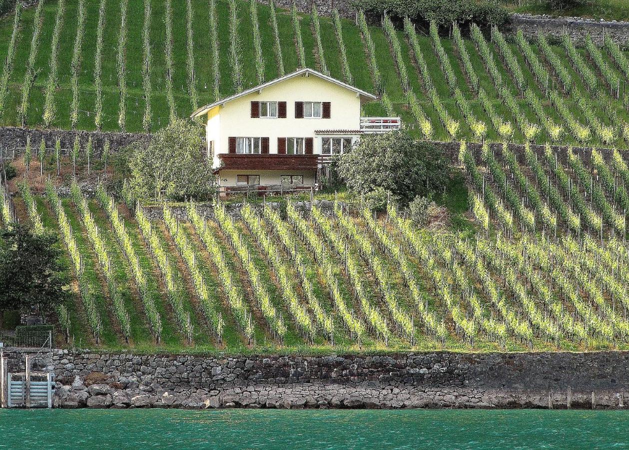 Haus Buenten Quinten Exterior foto