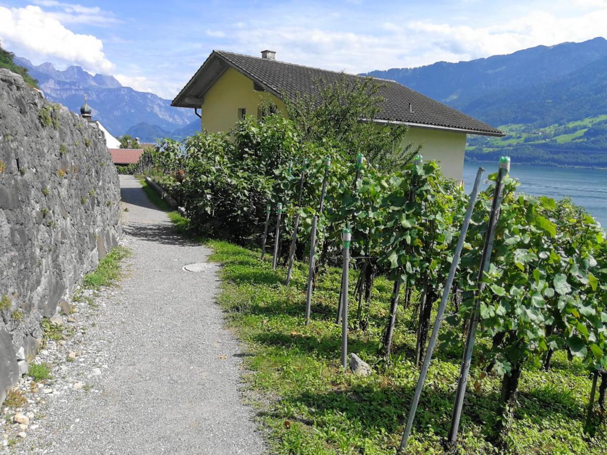 Haus Buenten Quinten Exterior foto
