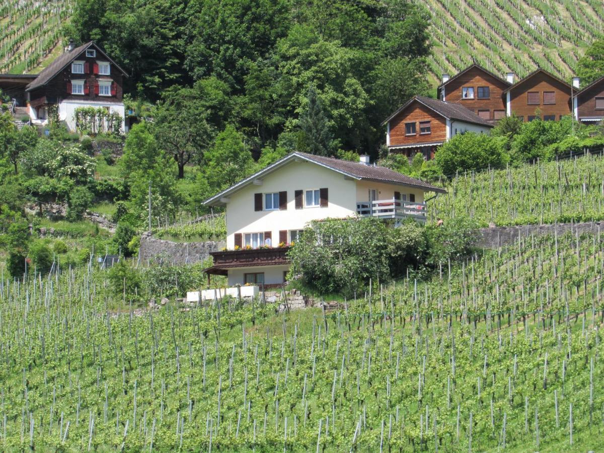 Haus Buenten Quinten Exterior foto